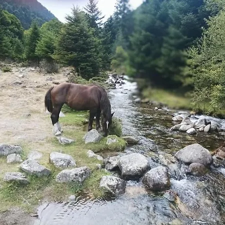 Belle Maison, Face Pic Du Midi
